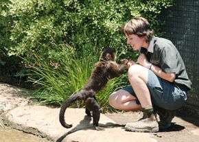 National Zoo & Aquarium - ACT Tourism 1