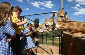 National Zoo & Aquarium - ACT Tourism 2