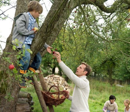 Eastland Shopping Centre - ACT Tourism 3