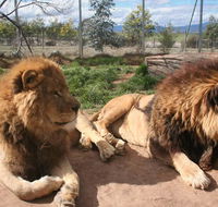 Mansfield Zoo - ACT Tourism