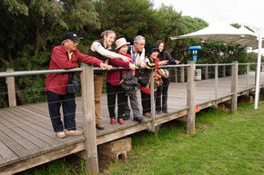 Phillip Island Penguin Parade - ACT Tourism 1
