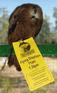 Eagles Heritage - ACT Tourism 1