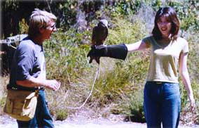 Eagles Heritage - ACT Tourism 2