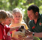 Cleland Wildlife Park - ACT Tourism