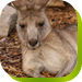 Abbotsbury NSW ACT Tourism