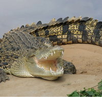 Dundee's Wildlife Park - ACT Tourism