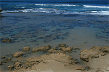 Canberra Contemporary Art Space - ACT Tourism 0