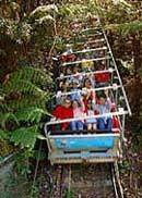 Scenic World Blue Mountains - ACT Tourism 2