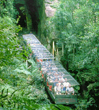 Scenic World Blue Mountains - ACT Tourism 3