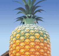 The Big Pineapple - ACT Tourism