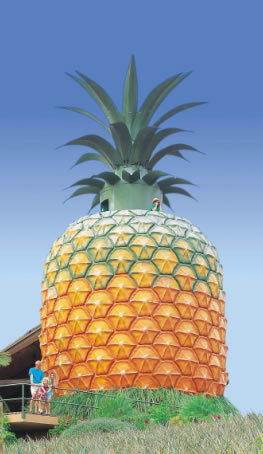 The Big Pineapple - ACT Tourism 0