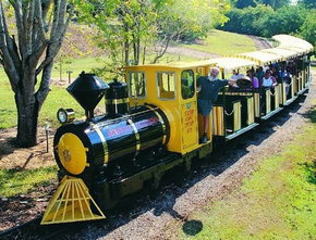 The Big Pineapple - ACT Tourism 1