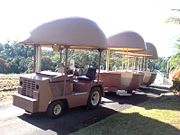 The Big Pineapple - ACT Tourism 2