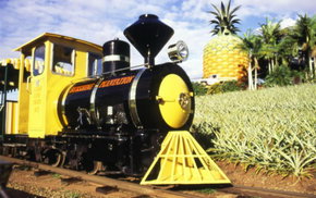 The Big Pineapple - ACT Tourism 3