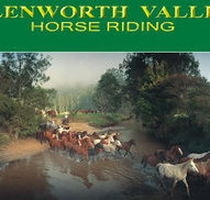 Glenworth Valley Horseriding - ACT Tourism