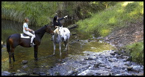 Glenworth Valley Horseriding - ACT Tourism 1