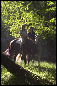 Glenworth Valley Horseriding - ACT Tourism 2