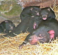 East Coast Natureworld - ACT Tourism