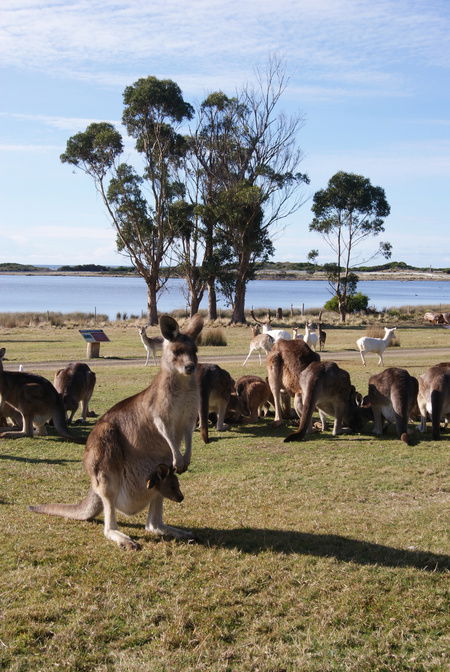 East Coast Natureworld - ACT Tourism 1