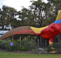 Gumbuya Park - ACT Tourism