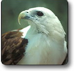 Kakadu National Park - ACT Tourism