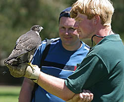 Great Oak Holdings Pty Ltd - ACT Tourism 1