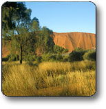 Santa Teresa NT ACT Tourism