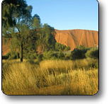 Uluru - Kata Tjuta National Park - ACT Tourism