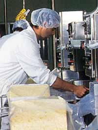 Allansford Cheese World - ACT Tourism 1