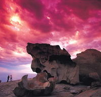 Kangaroo Island Adventure Tour 2 day/1 night - ACT Tourism