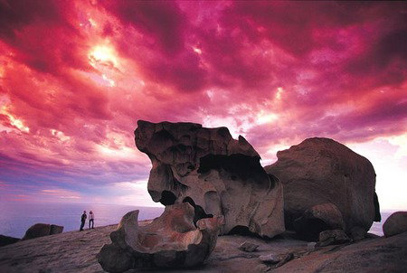 Kangaroo Island Adventure Tour 2 Day/1 Night - ACT Tourism 0