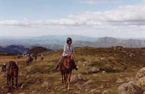  ACT Tourism