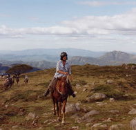 High Country Horses - ACT Tourism