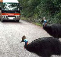 Kookaburra Tours - ACT Tourism