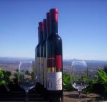 Mount Tamborine Winery  Homestead - ACT Tourism