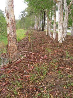 Kumbartcho Sanctuary - ACT Tourism 1