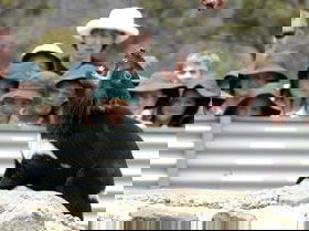 Trevallyn TAS ACT Tourism