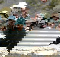 Tasmania Zoo - ACT Tourism