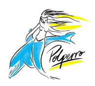 Polperro Dolphin Swims - ACT Tourism 0