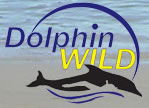 Dolphin Wild - ACT Tourism 0
