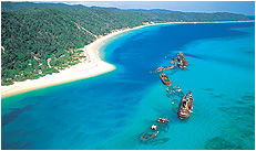 Dolphin Wild - ACT Tourism 3