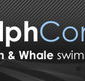 Dolphcom - Dolphin  Whale Swimming Adventures - ACT Tourism