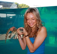 Crocosaurus Cove - ACT Tourism