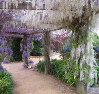 Abingdon Miniature Village - ACT Tourism