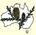 Australian National Botanic Gardens - ACT Tourism