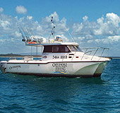 Sunshine Coast Fishing Charters - ACT Tourism 1