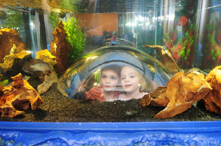 Scitech - ACT Tourism 3