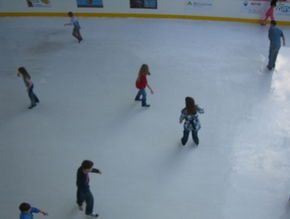 Liverpool Catholic Club Rink - ACT Tourism 3