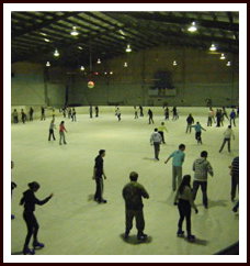Bendigo Ice Stadium - ACT Tourism 1