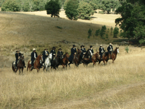 McCormacks Mountain Valley Trail Rides - ACT Tourism
